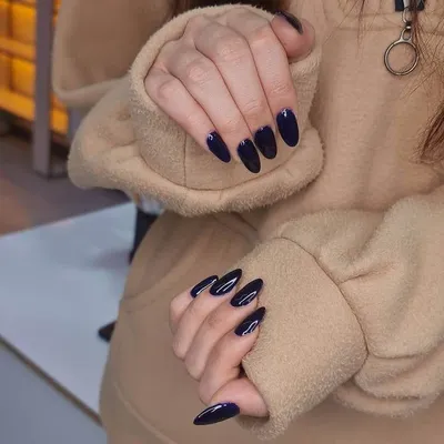 بهاره وکیلی