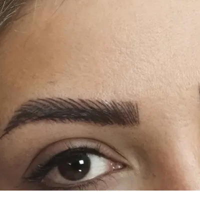 میترا رشیدی