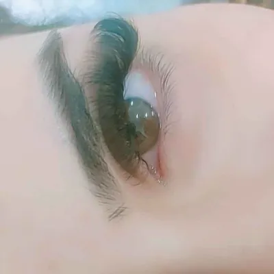 شیدا  صالحی 