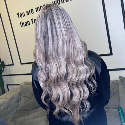 شبيتا صحرايى