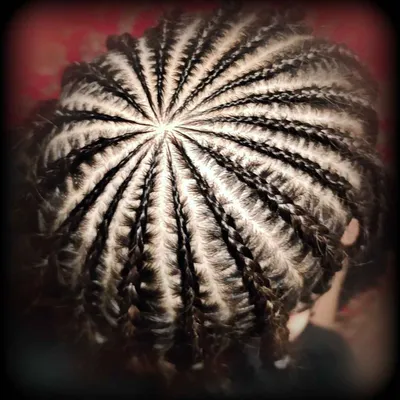 پرنیا میرزایی 