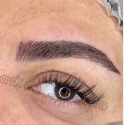 شکیلا شهریاری