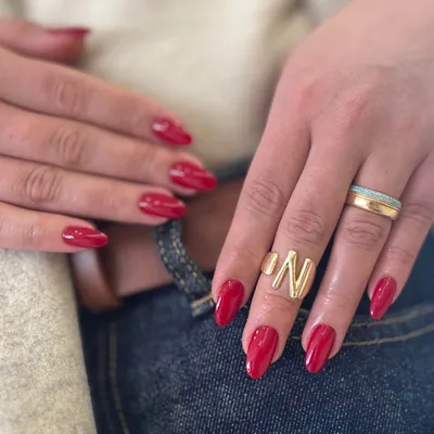 نیلوفر امیری