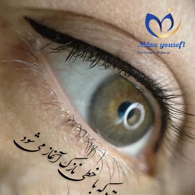 آرایش دائم مینا یوسفی