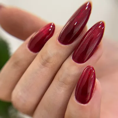 سارا روح پرور