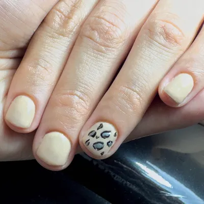 فرحناز فعال