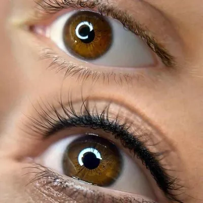 شیما خرسندی پور