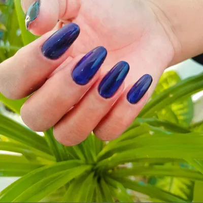 الهه ابراهیمی