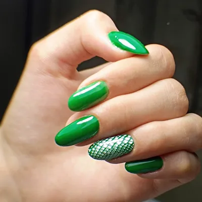 بهار سربیشه