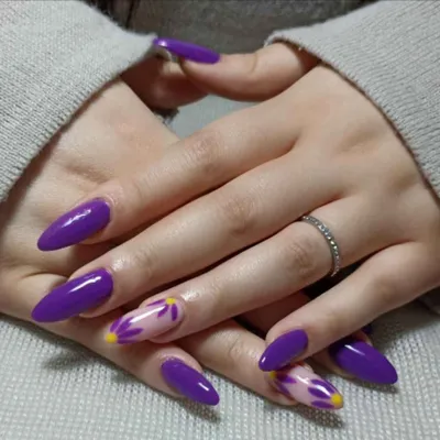 زینب  شهسوار 