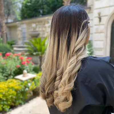 مستانه شیخی