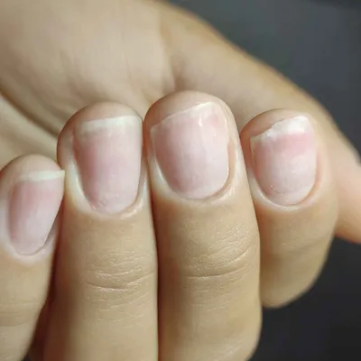 فاطمه یوسفی