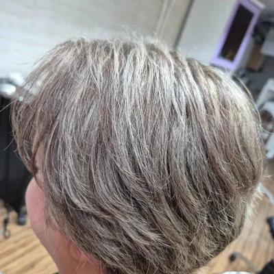 سارا پورادهم