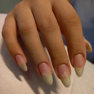 ویدا فیروزیان 