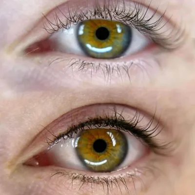 ندا قهرمانی 