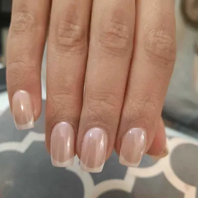 نیلبار طیبه آقاسی