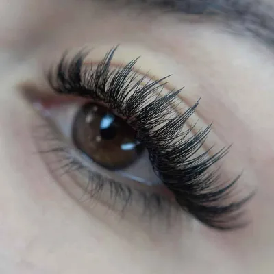 ملیحه پورنوروز