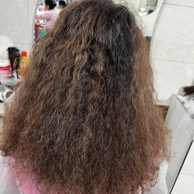 سعیده مرادی نیا