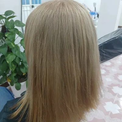 زینب طائبی