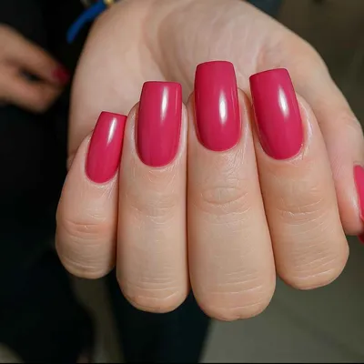نیلبار طیبه آقاسی