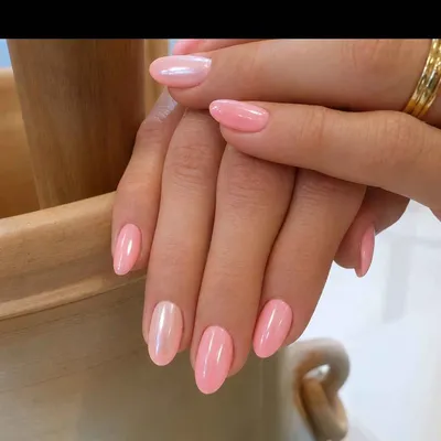 نیلبار طیبه آقاسی
